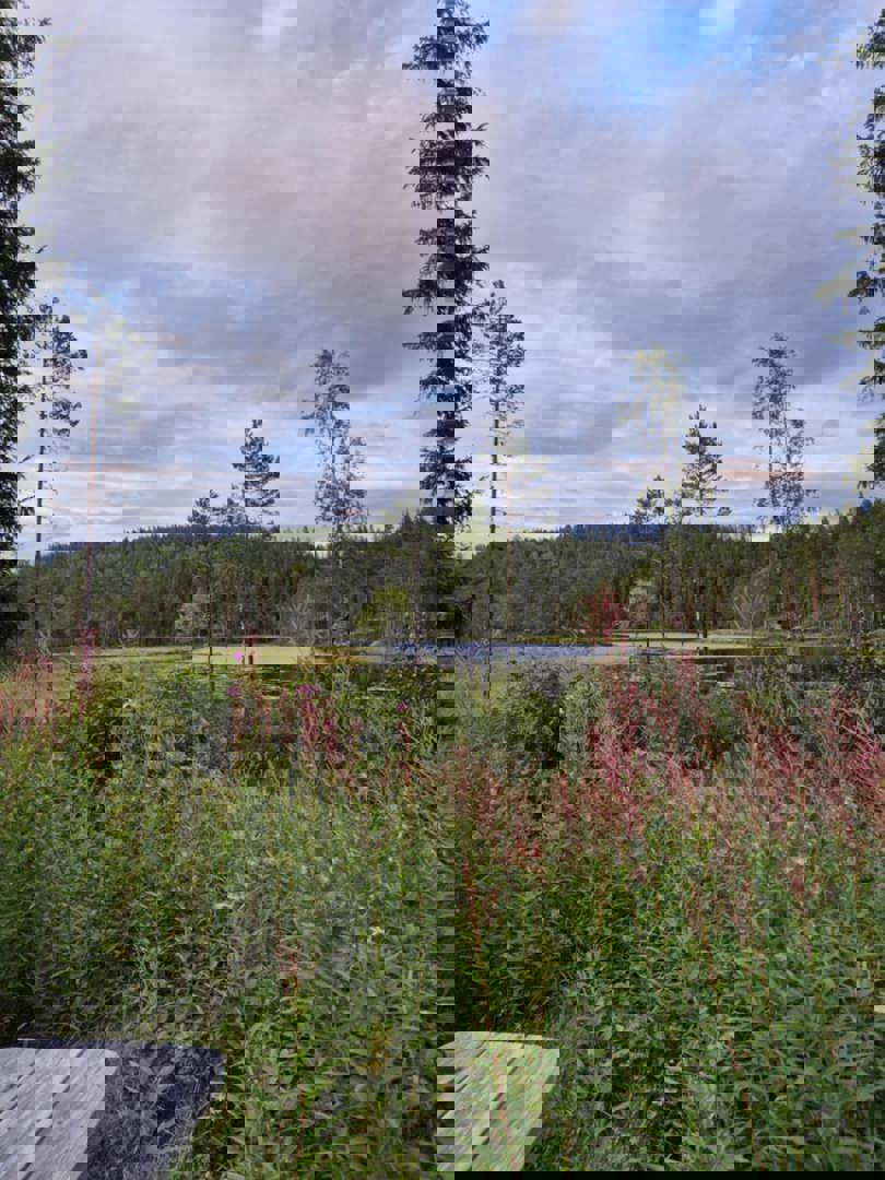 Ellingsetertjern