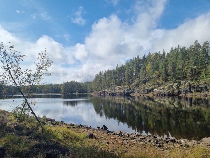 Engelen