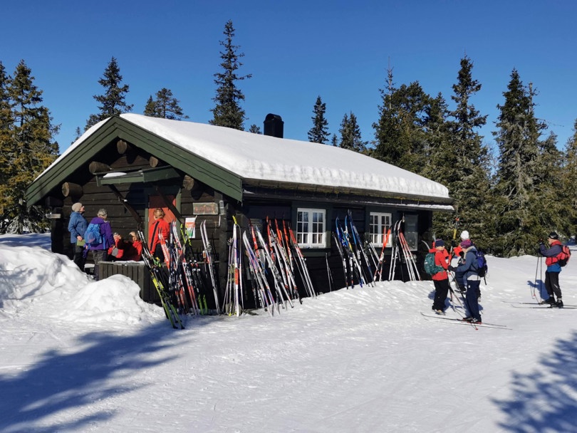 Mange skipar utenfor Blåmyrskoia.