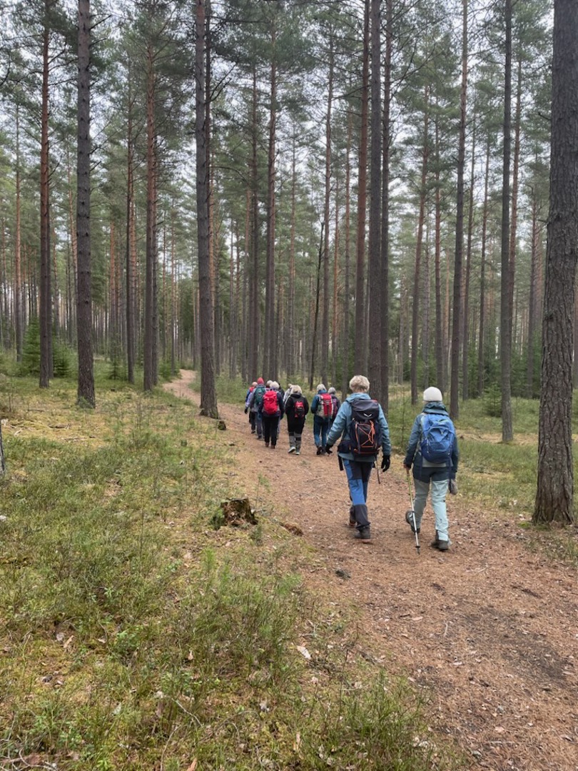 På fine stier på Hvervenmoen