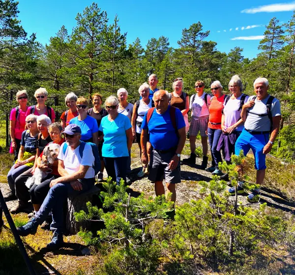 Røysåsen