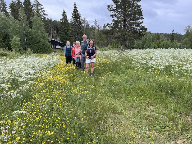 Blomsterenga ved Grønlia
