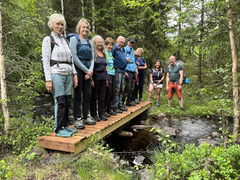 Brua over Mjøgsjøbekken