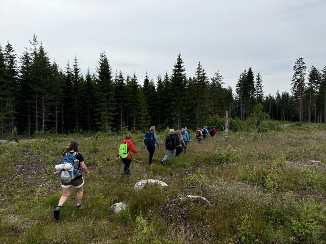 Vandring langs Tronbølsætervegen