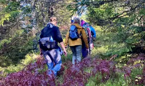 Aktiv i 100 fredagstur