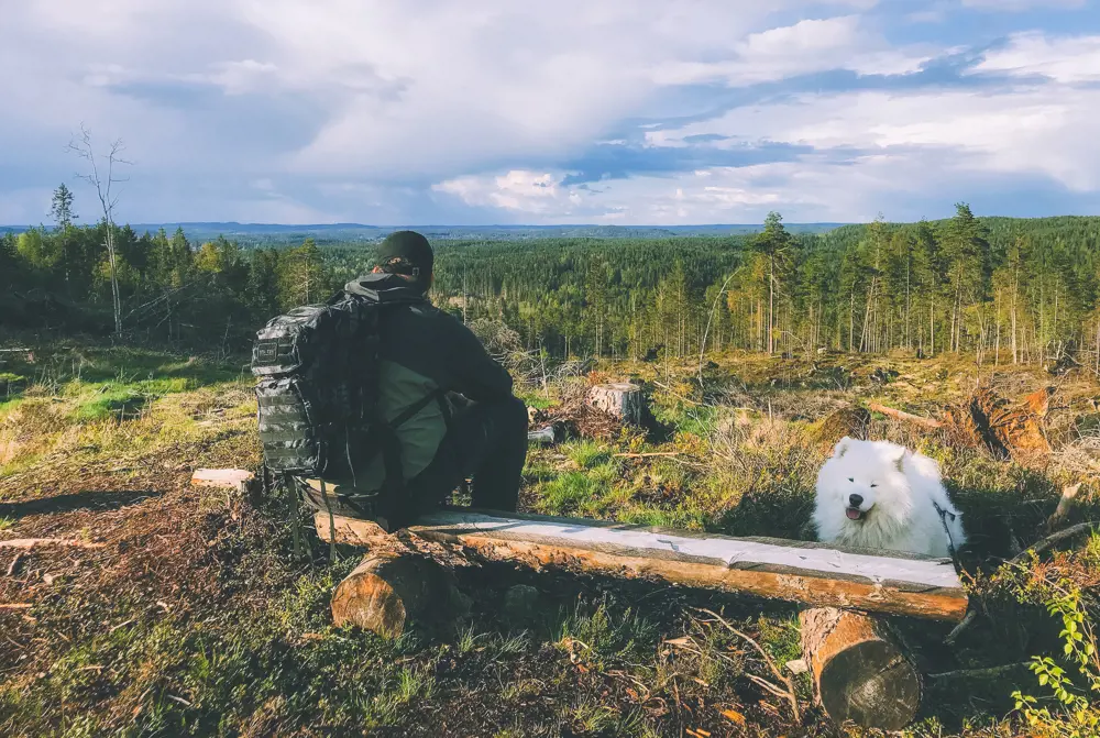 Mann sittende på en tømmerbenk, og en hvit hund liggende ved siden av, med utsikt utover skogen