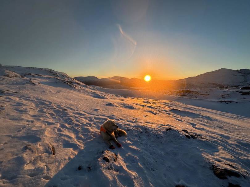 Sol over vinterfjell
