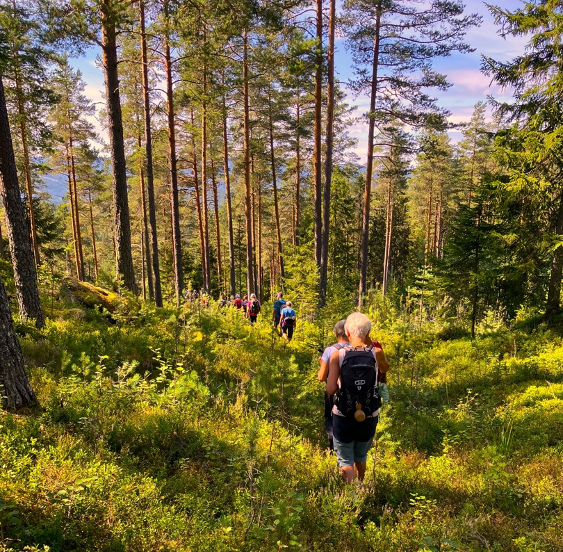 På blåmerka sti
