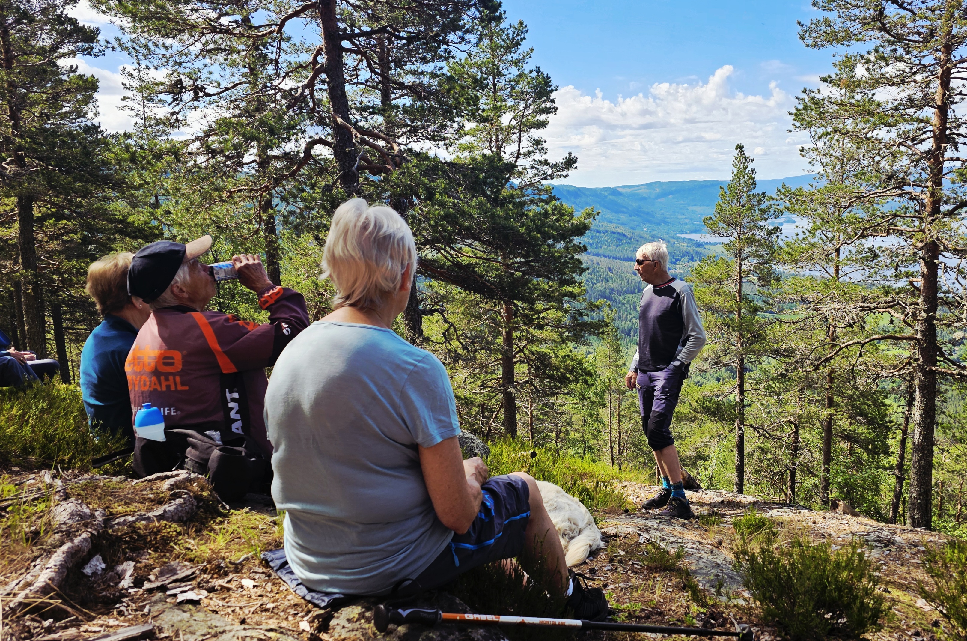 Rasteplassen med utsikt mot Ringerike Foto Marit Stubbraaten