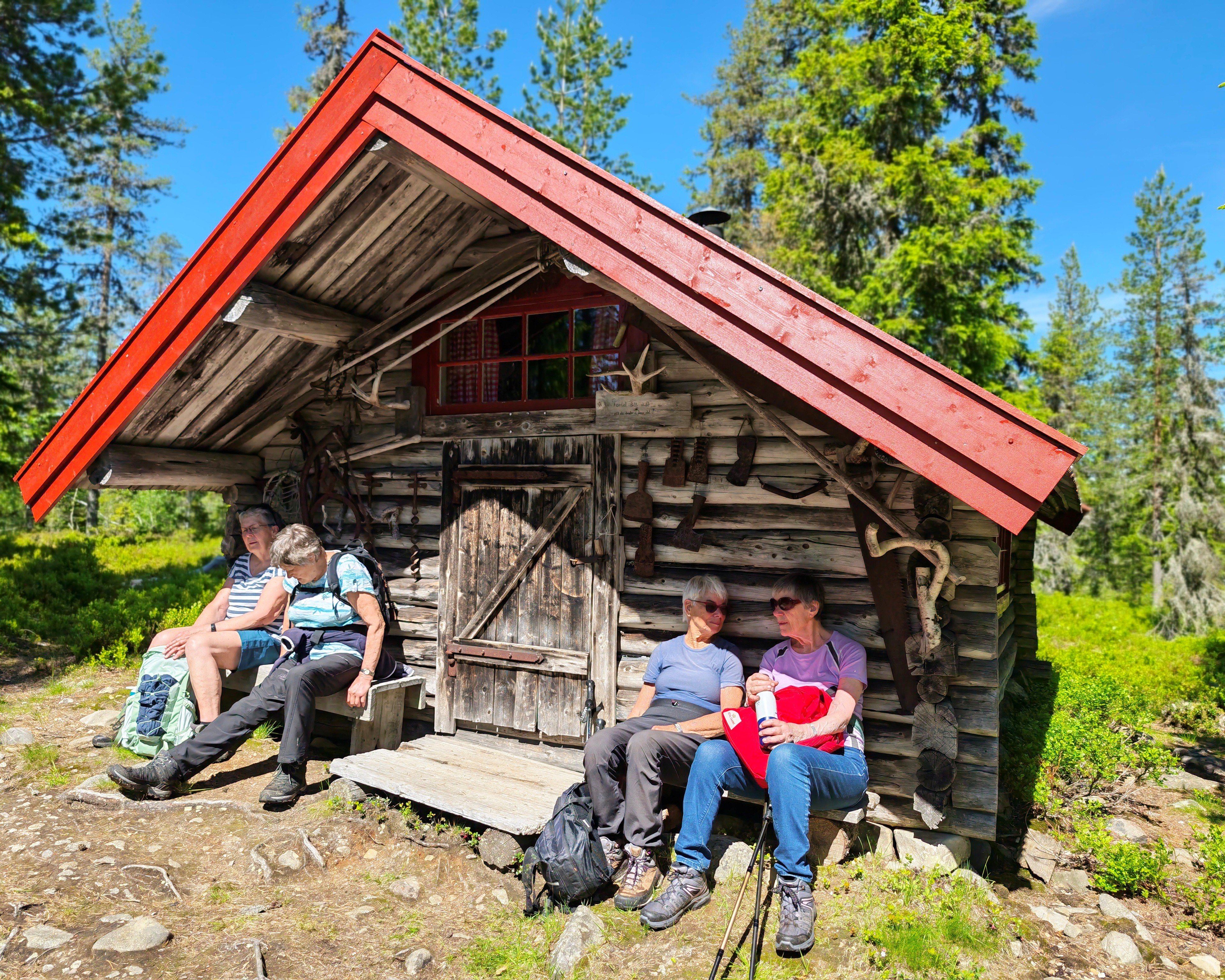 Rast ved t&oslash;mmerkoie