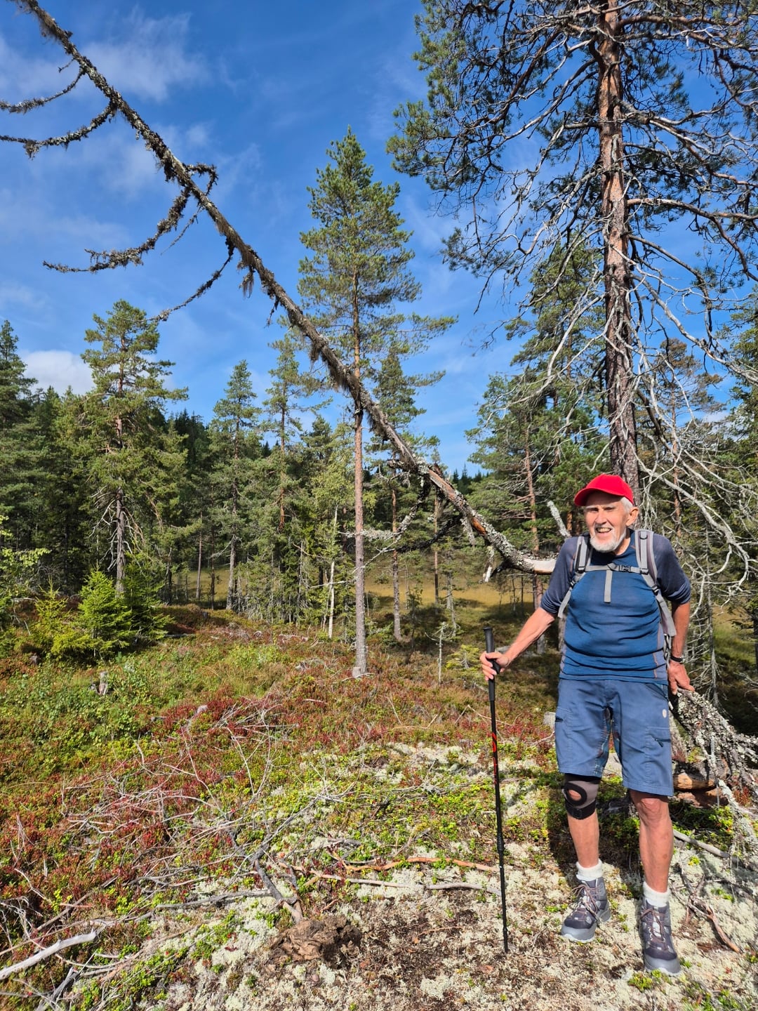 Gamle kraker s&oslash;ker maker