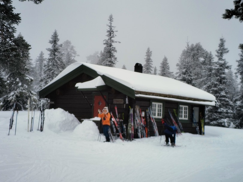 Blåmyrskoia.
