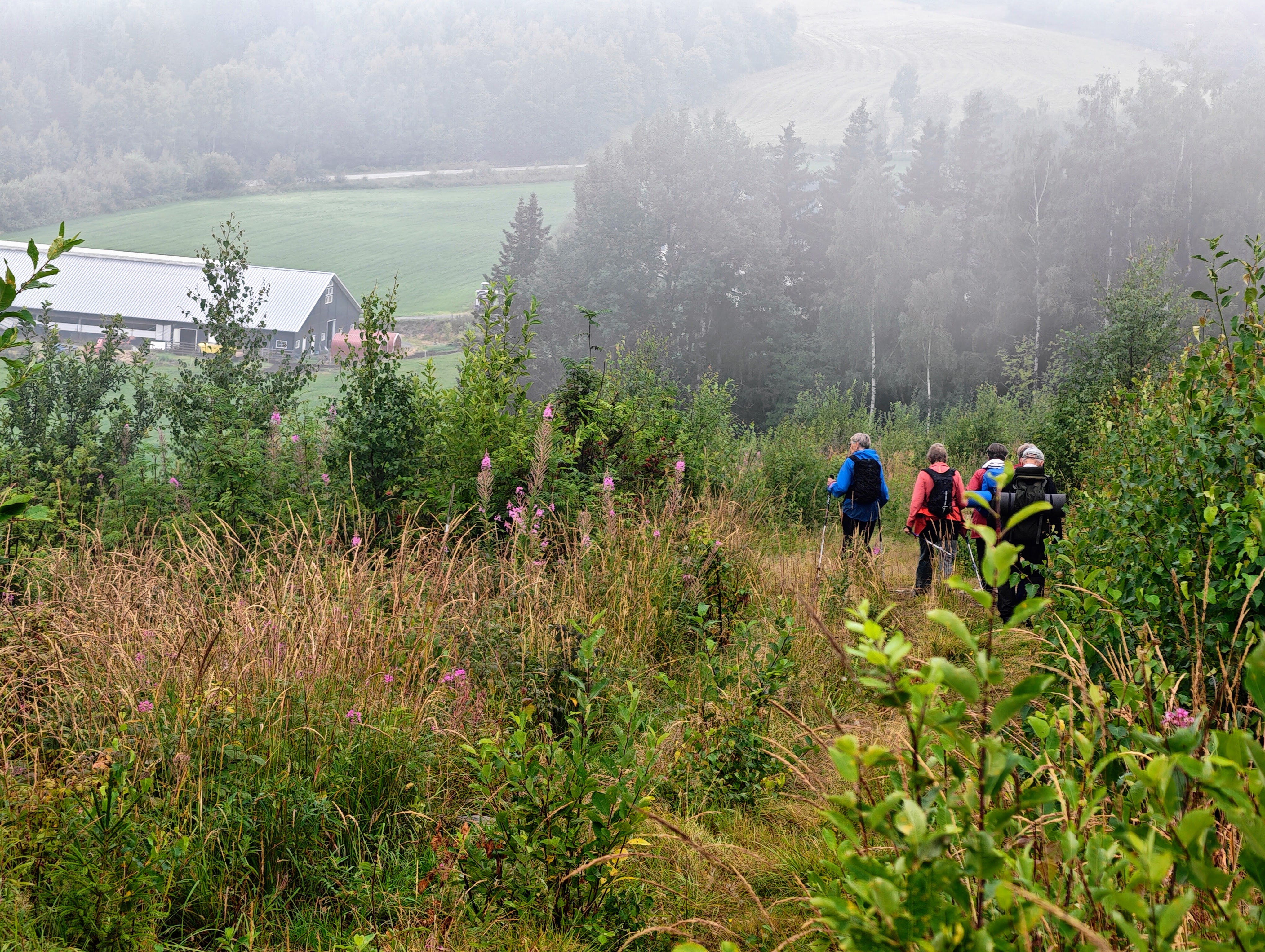 Biskopåsen