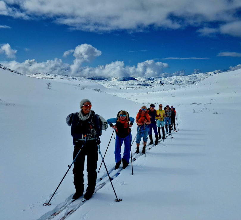 Turfølget på rekke og rad i fjellet