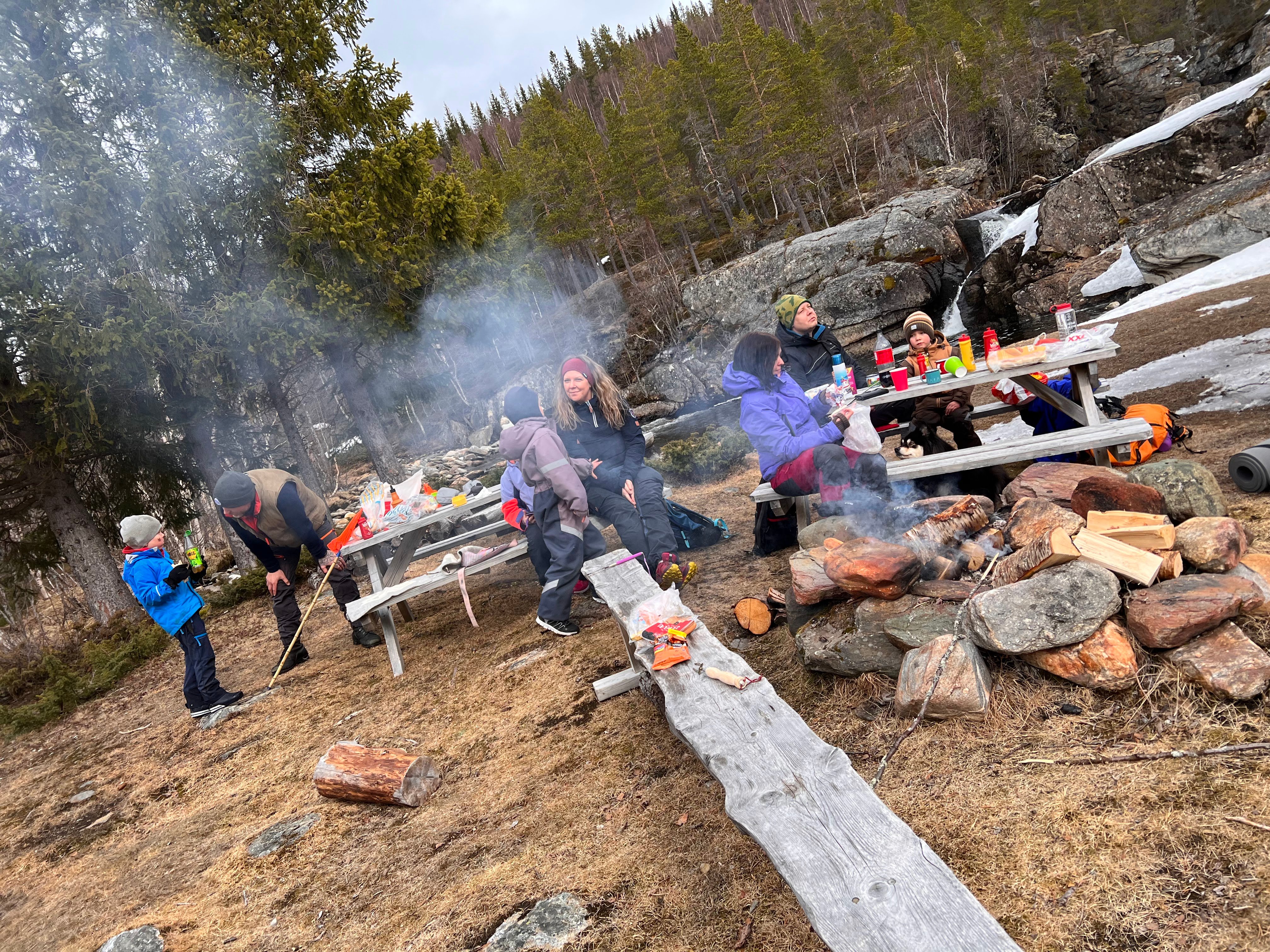 B&aring;lplass med familier som griller med utsikt til gr&oslash;nn skog.