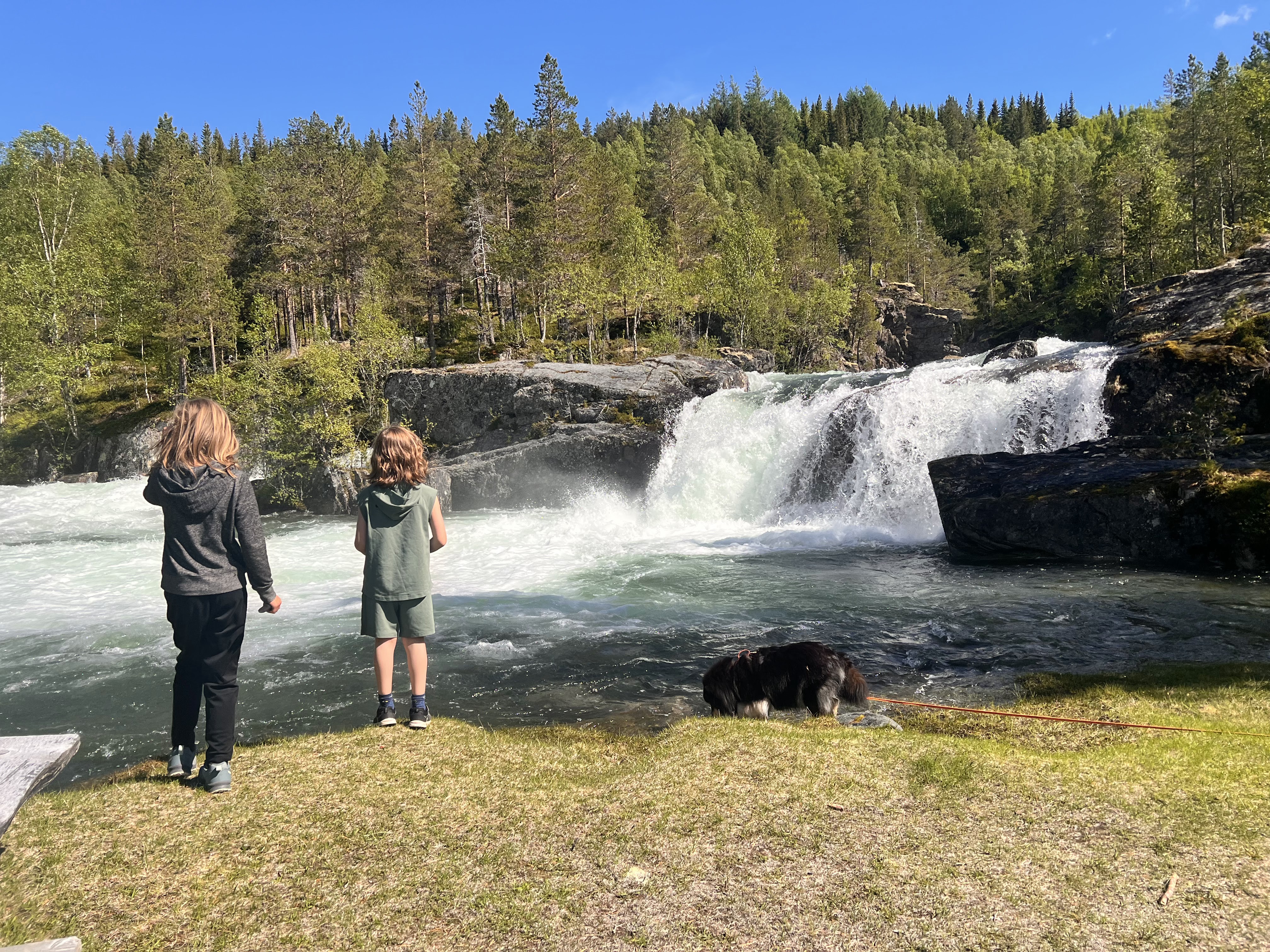 Nydelig badekulp med vann som renner nedover. To barn st&aring;r med ryggen til p&aring; gresset i forkant av kulpen.