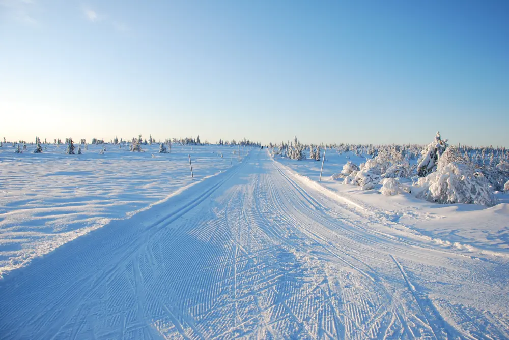 Webkameraet på Stenfjellhytta.