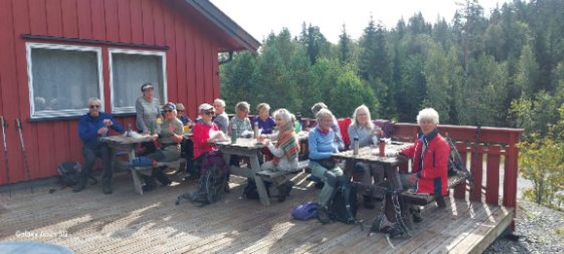 Hyggelig rast