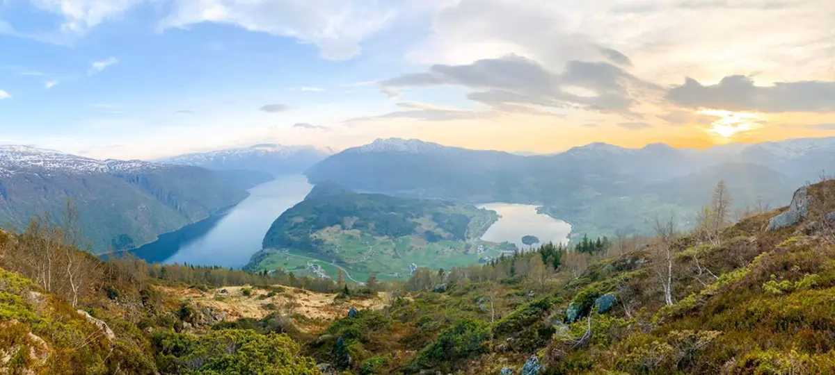 Grøn fjellside, med to fjordarmar med grøne bakkar og orange solnedgang