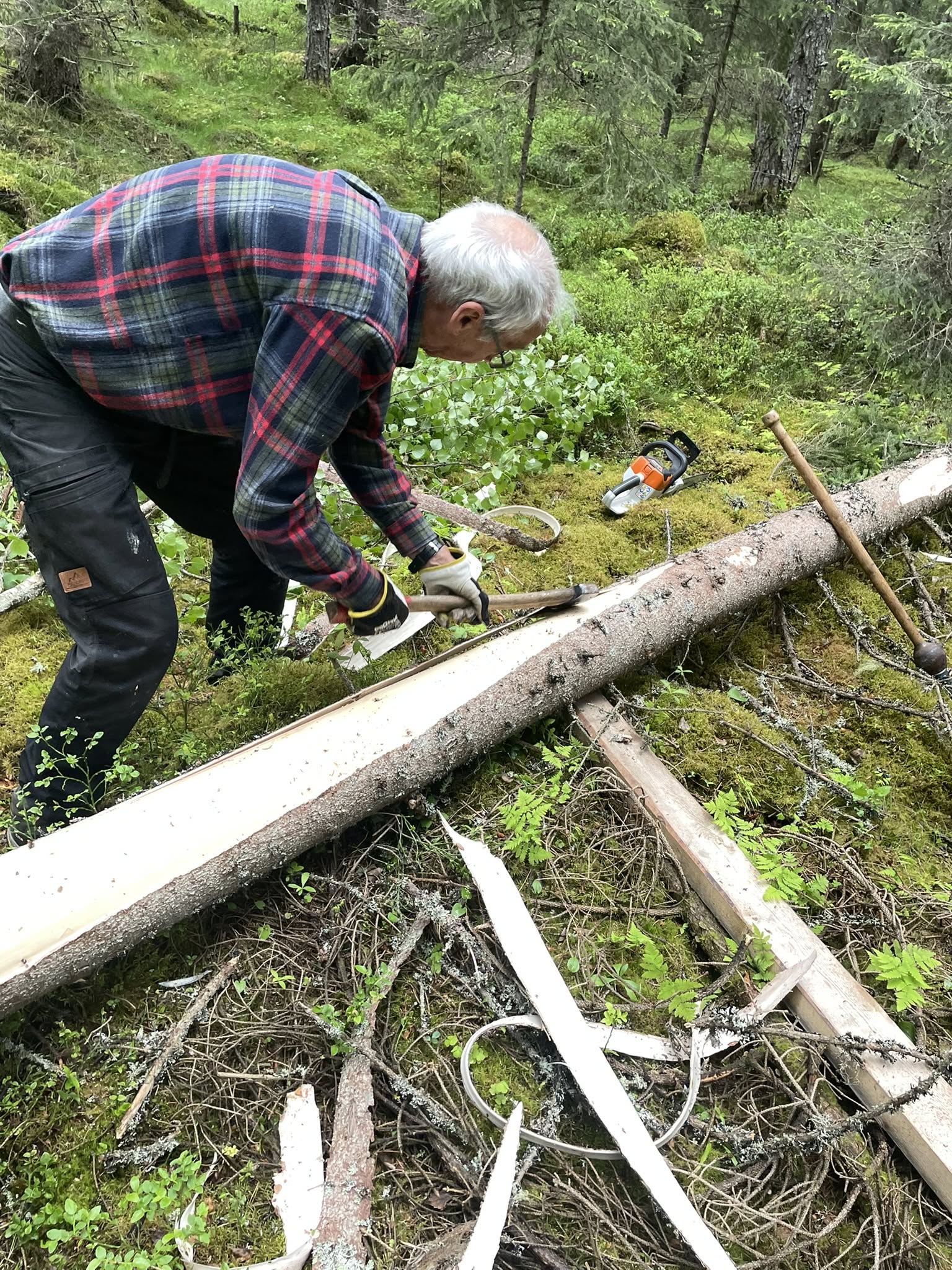 Dugnad p&aring; Smalmyrkoia