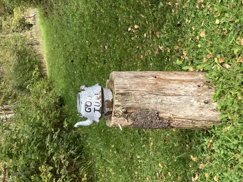 Kaffekanne står på en stubbe, rundt er det grønt gress. 