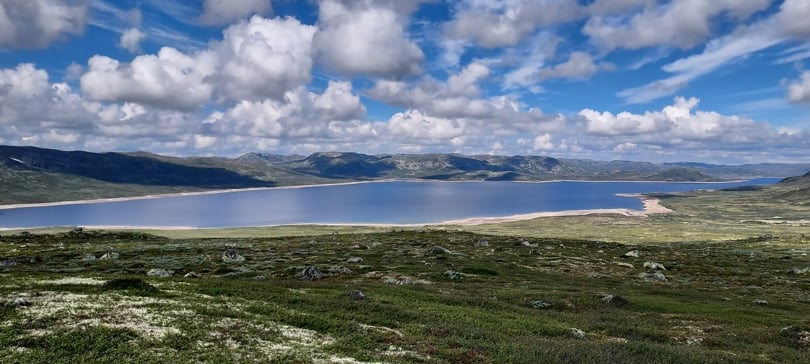 Mår