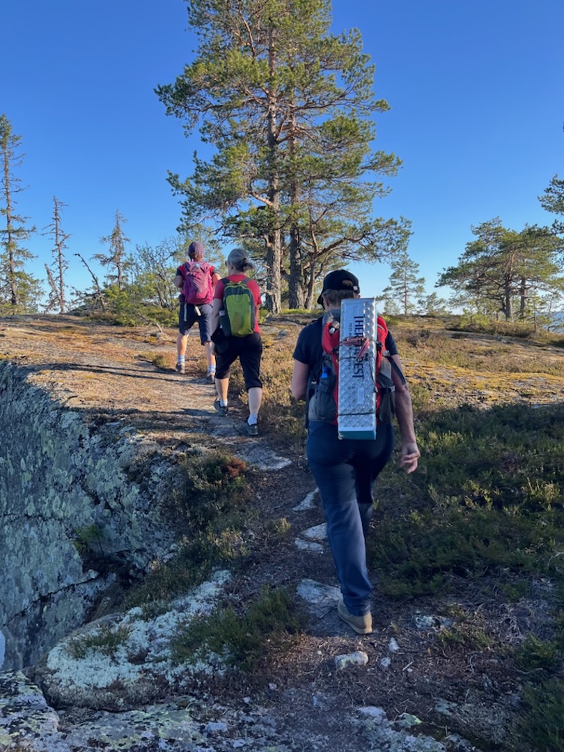 Mot toppen