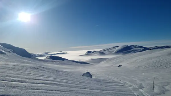 Kvisting ved Øyuvsbu og Håheller