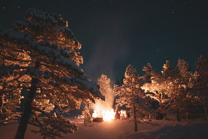 En skog med snøkledte trær. En gruppe ungdommer sitter rundt et bål. Det er mørkt ute, men stjernehimmel og lys fra bålet.