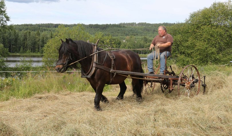 Ole Viktor Larsen, foto Glåmdalen