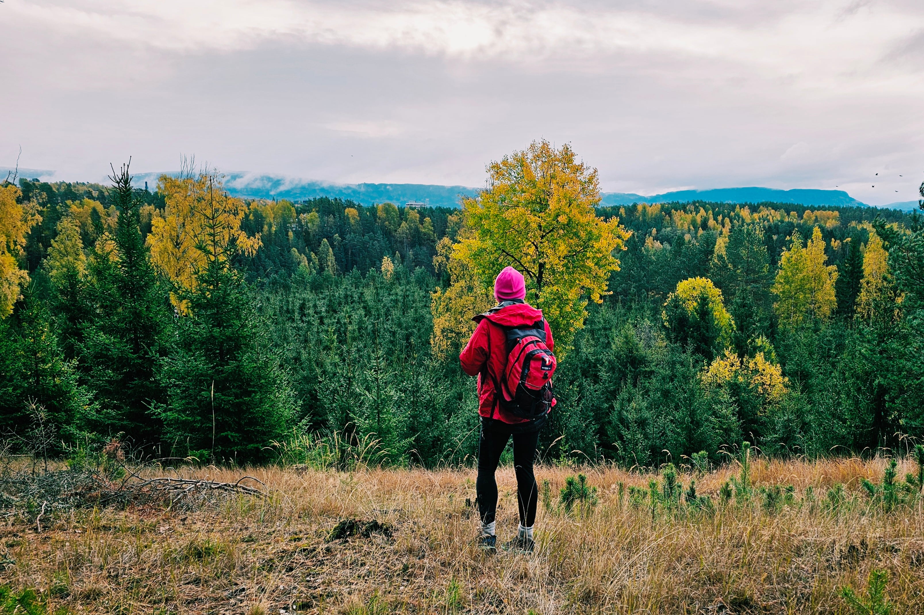 Utsikt mot skogen rundt Hverven. Foto Marit Stubbraaten