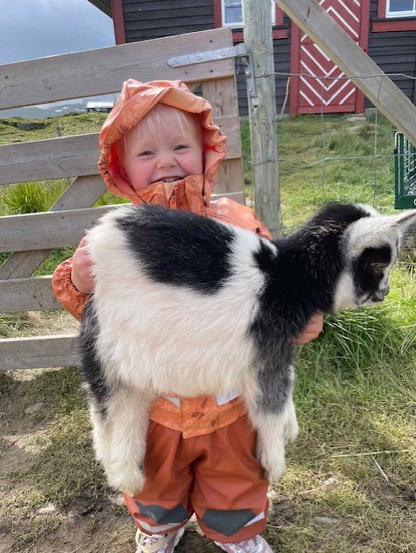 Barn holder geitekilling