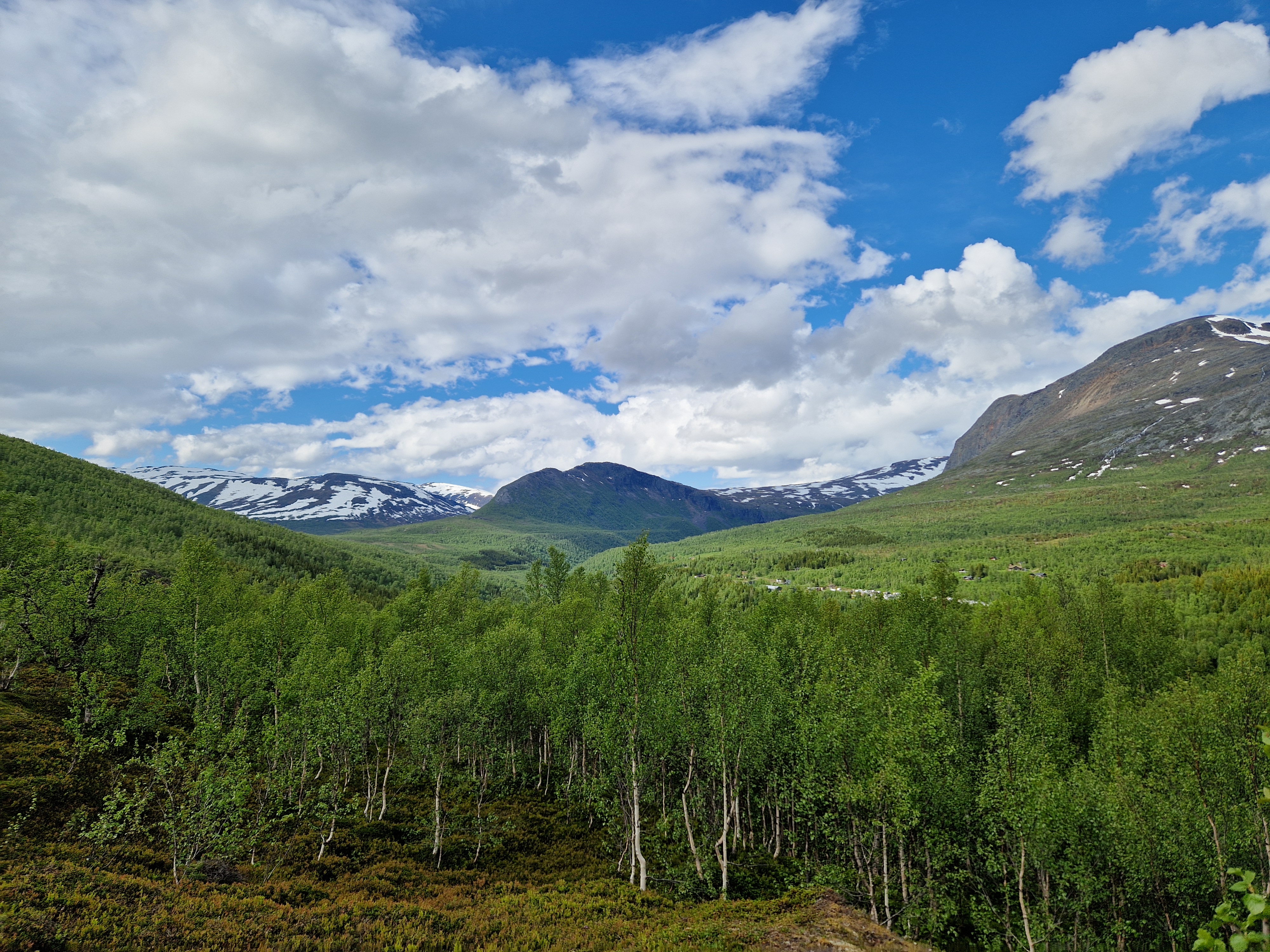 En fjelldal i grønt, bjørketrær og litt bebyggelse skimtes i det fjerne. Det er høye, snøkledte fjell rundt.
