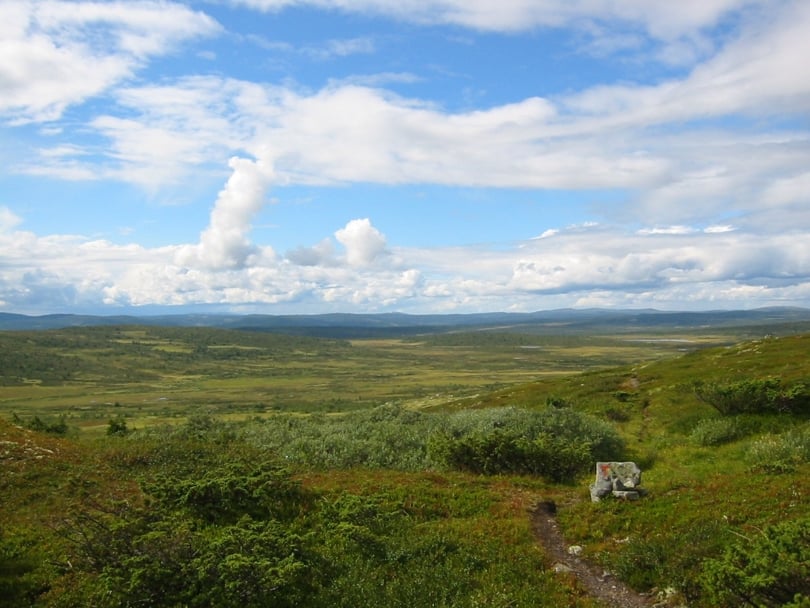 Ringsakerfjellet