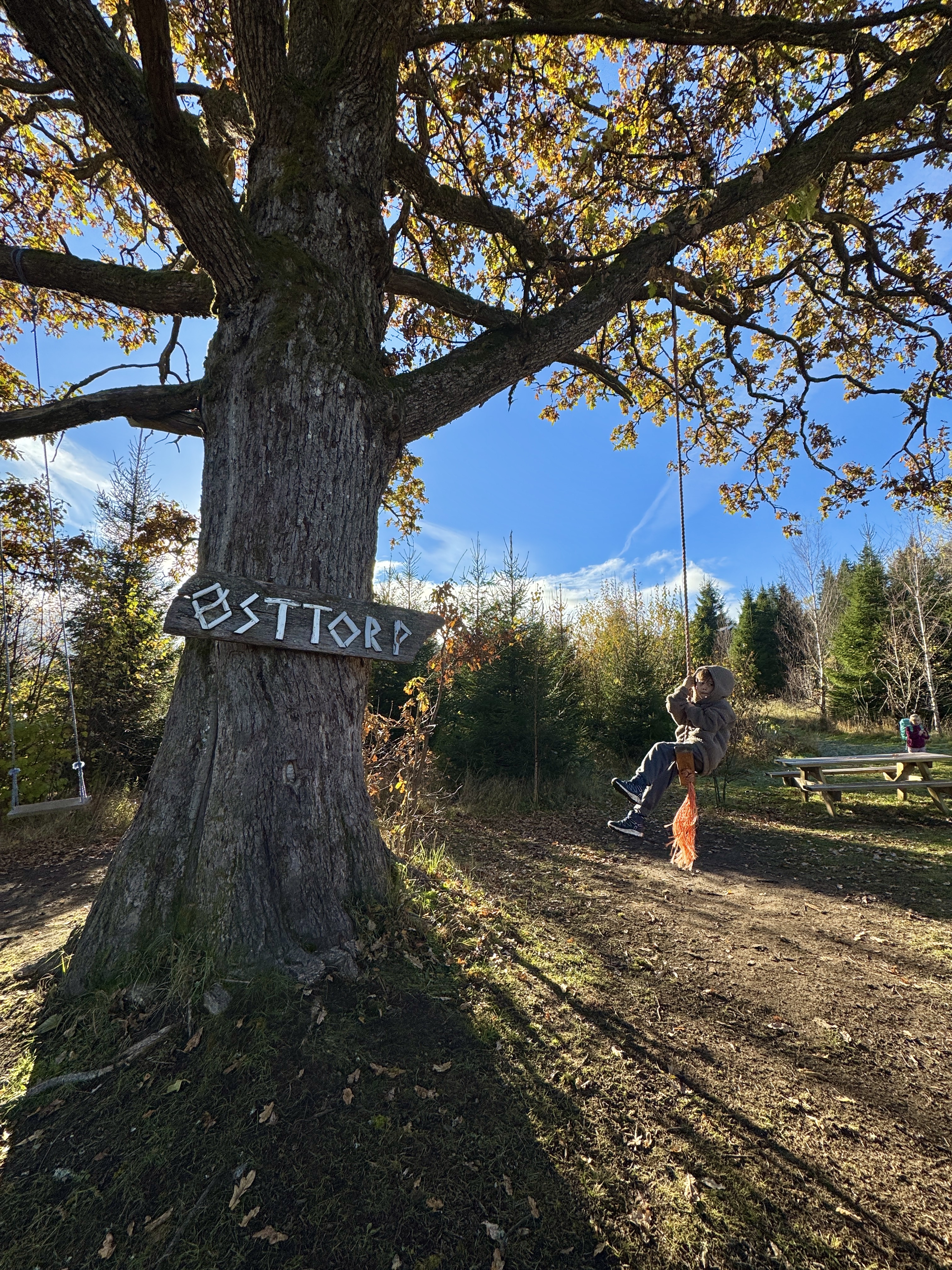 Et barn som prøver huska i eiketreet på Østtorp.