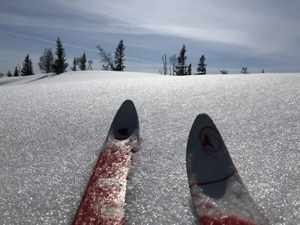 Ski og vinter