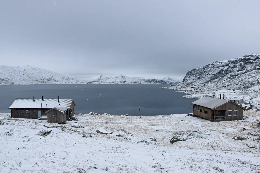 Bossbu i snøvær. Foto: Eilif Johanssen 