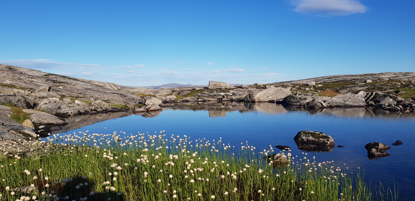 innsjø i vindkraftområde