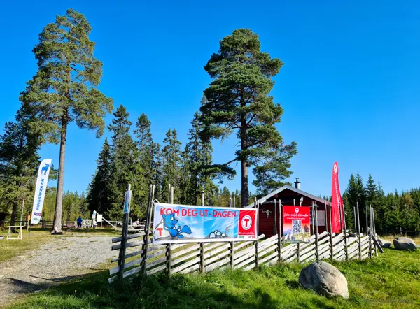 Vollkoia i strålende sol.