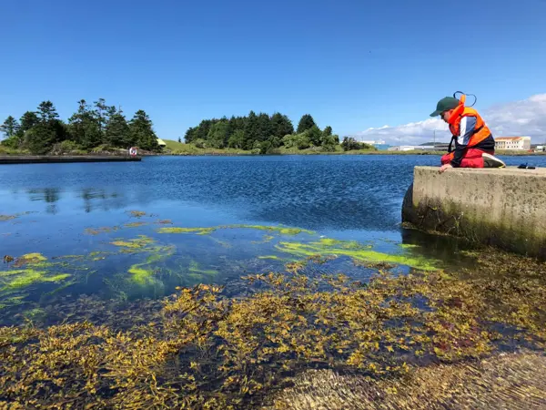 Gutt på brygge ser ned i sjøen