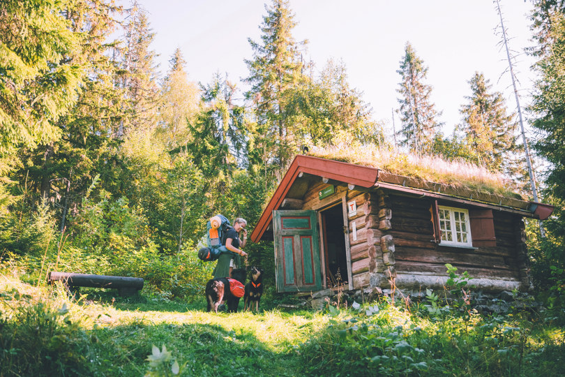 Turgåer foran hytte i skog. 