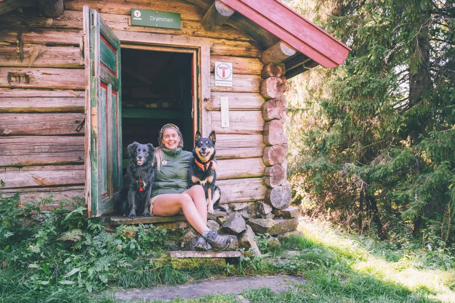 Hund foran hytte i skogen