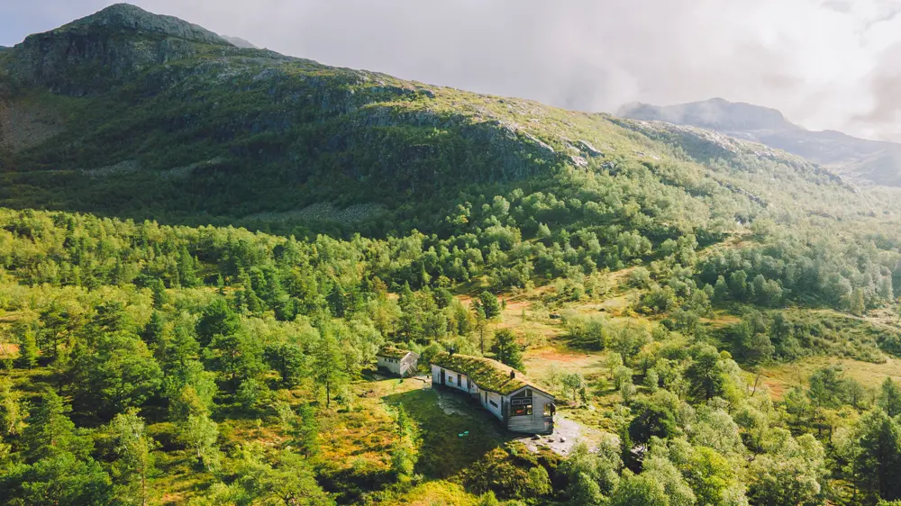 Hytte i grønt fjellområde