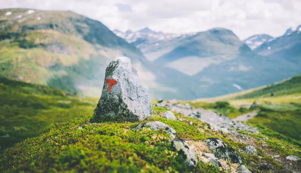 Andre uken av minutt for minutt gikk fem dager gjennom Jotunheimen. Bildet er fra turen fra Fannaråkhytta og ned til frodige Skogadalsbøen.