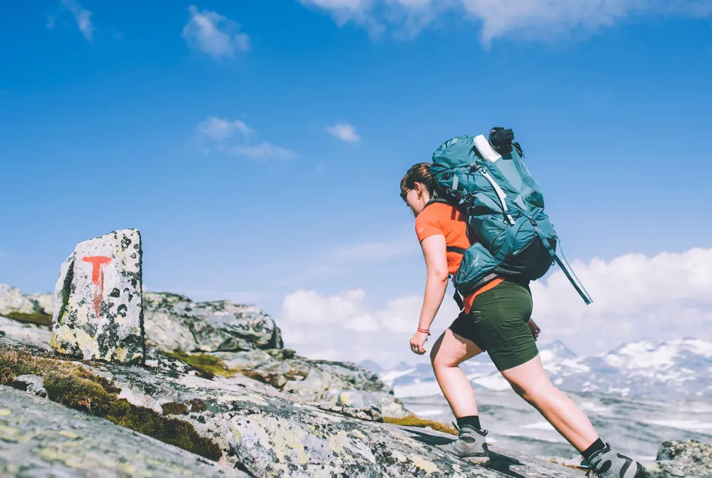 Andre uken av minutt for minutt gikk fem dager gjennom Jotunheimen. Bildet er fra andre etappe fra Sognefjellshytta til Fannaråkhytta.