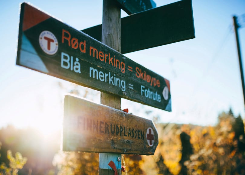 Skilt i skogen med rød og blå merking