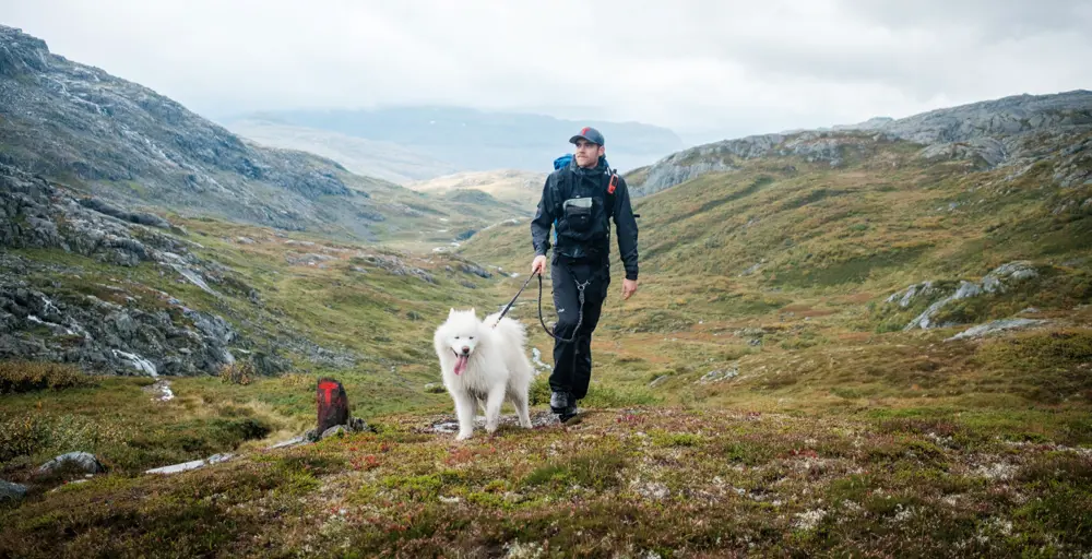 John Petter Nordbø og Baijas på stien mellom Bleskestadmoen og Jonstølen i Suldal. Hund på tur.