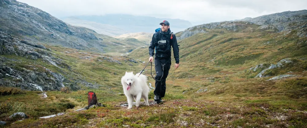 John Petter Nordbø og Baijas på stien mellom Bleskestadmoen og Jonstølen i Suldal. Hund på tur.