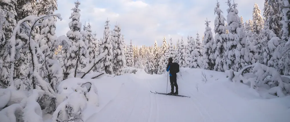 Skitur fra Snippen til Nydalshytta/Nydalsbua/Røverhula/Fjellvang