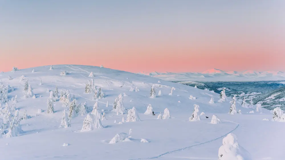 Vakkert vinterlandskap med rosa himmel